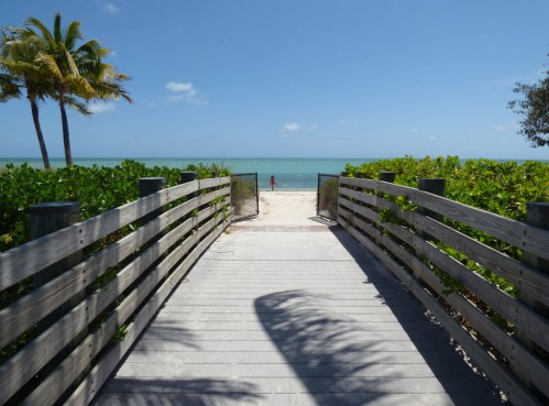 b Little Girl on Beach