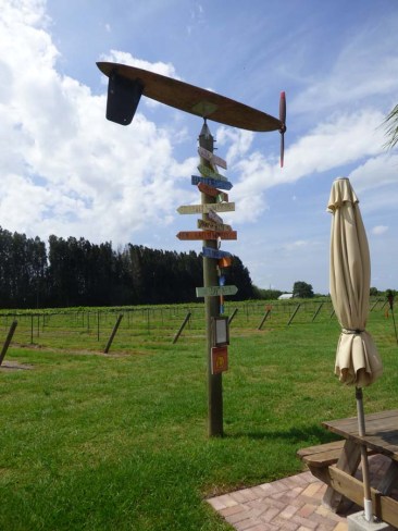 b Surf Board Wind Vane