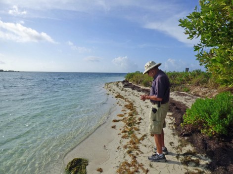 f Andy Found a Shell