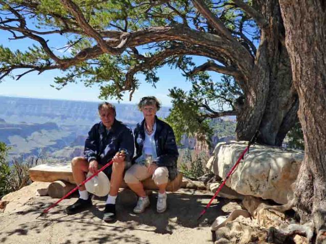 b Andy Dinata on Bench