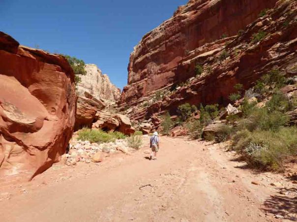 b Andy in Grand Wash