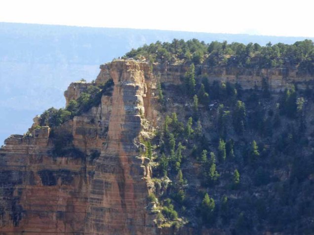 b Edge of Angels Window