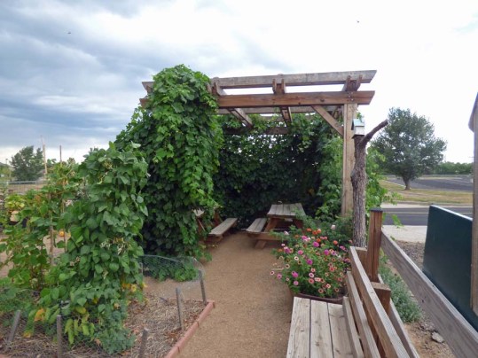 b Grape Arbor