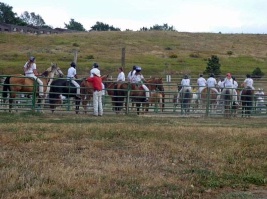 b Karate Cowboys and Girls