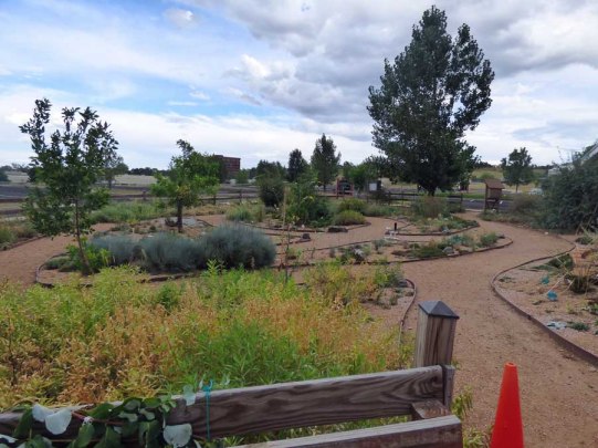 b Landscaping Garden