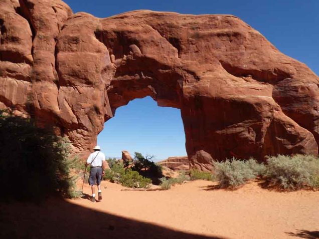 b Pine Tree Arch