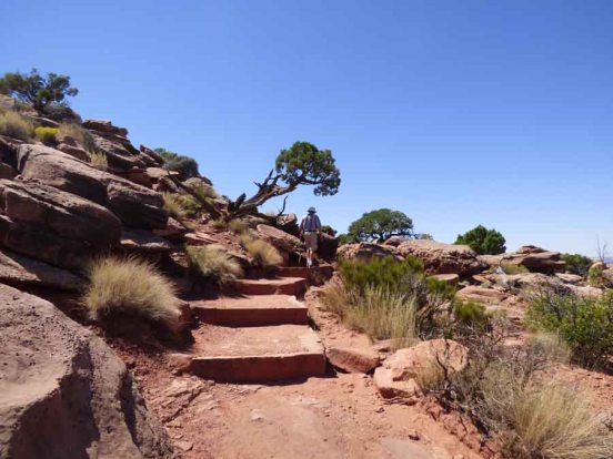 b Steps on Grand View Trail