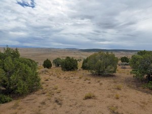 b Vista View to Right