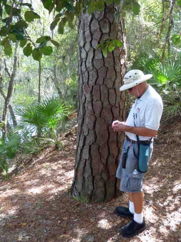 b Andy nex to Big Pine Tree