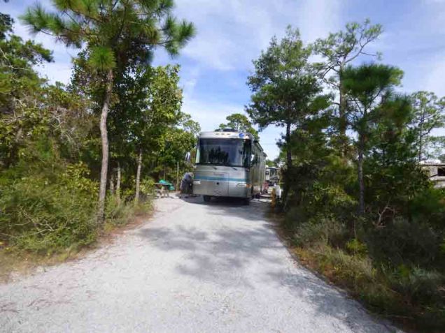 b Sao in Grayton Beach State Park