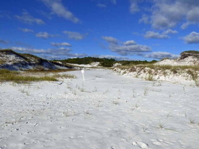 b Wash Through Dunes