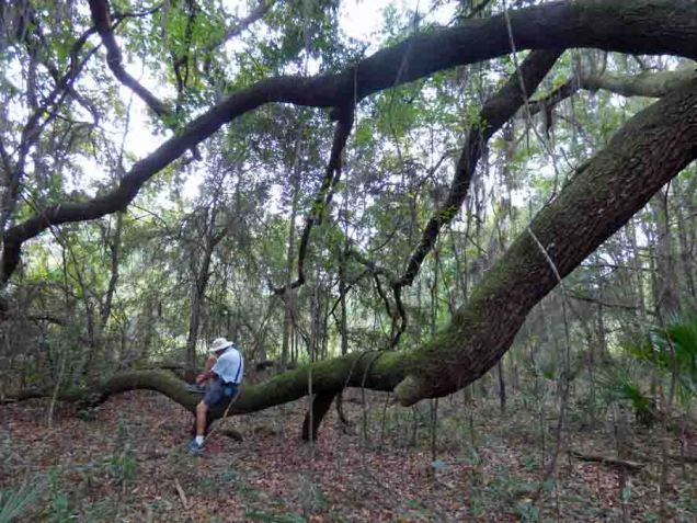 b05 Andy Tying Shoe on Limb