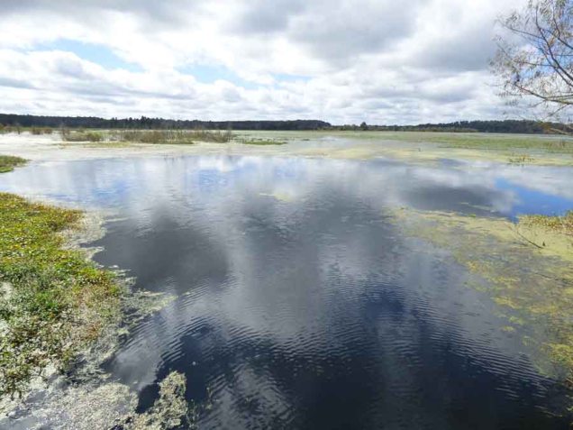 b09 Lake from Bridge