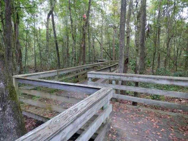 b1 Zig Zag Boardwalk Through Woods