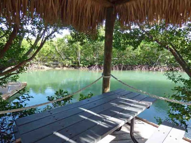 b Picnic Table on Canal
