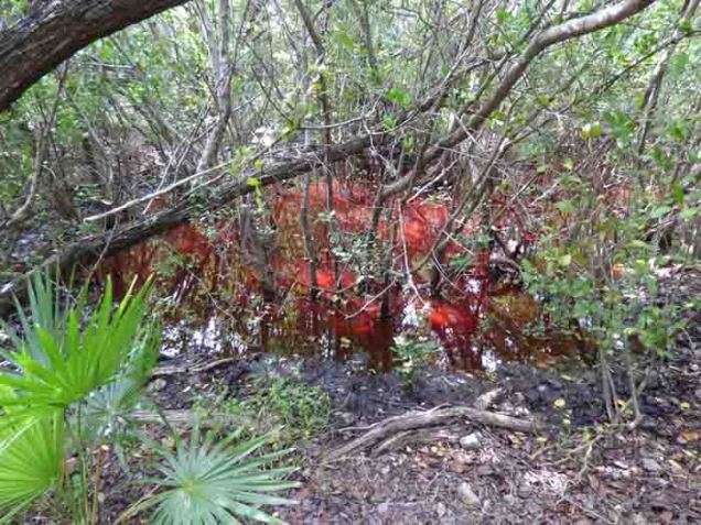 b Red Water in Solution Hole