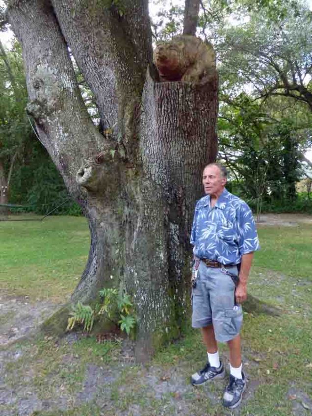b Andy and Bear Tree