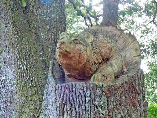 b Bear Carved in Tree