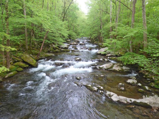 b Big Creek Up Stream-1