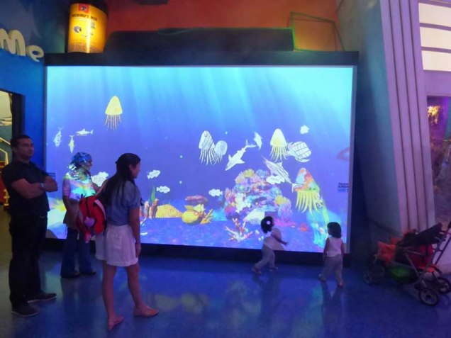 b07 Aquarium Screen