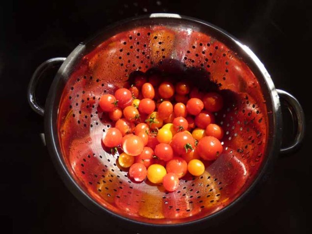 b Tomatoes in Colander