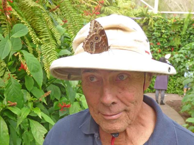 b Andy Looking for Butterfly on Hat