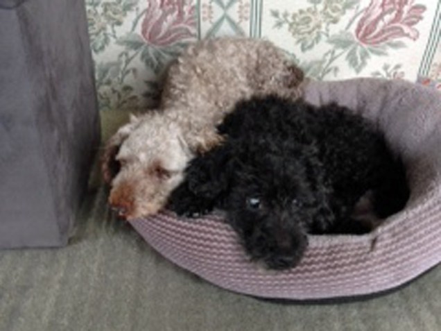 b Grace and Max Closeup