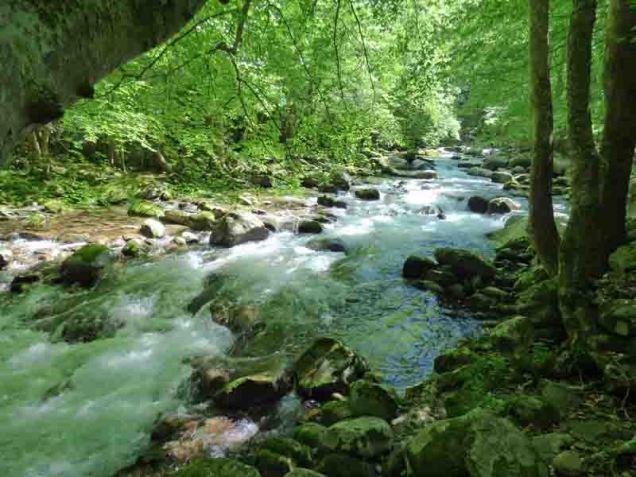b Big Creek Along Campground