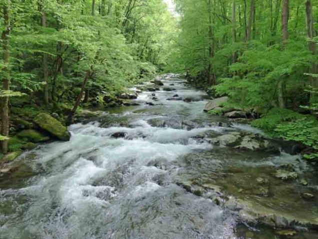 b Big Creek Upstream