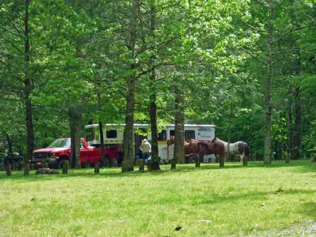 b Horses in Day Use Lot