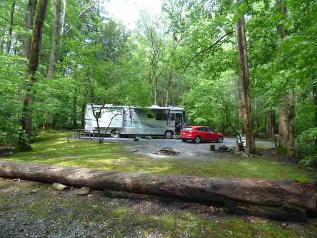 b Sao in Big Creek Host Site