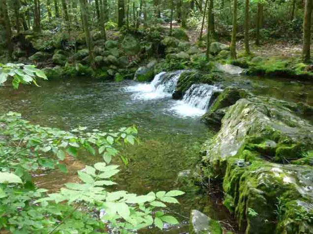 b Waterfalls by Campground