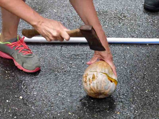 b Chopping Kabocha Squash