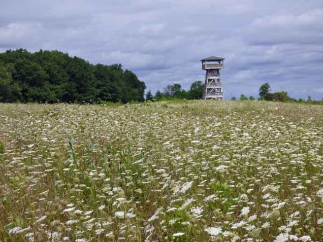 b93 Observation Tower