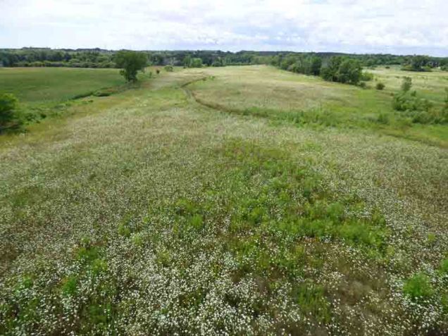b95 Path to Observation Tower