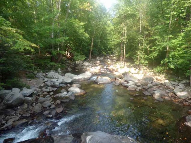 b01-big-creek-downstream