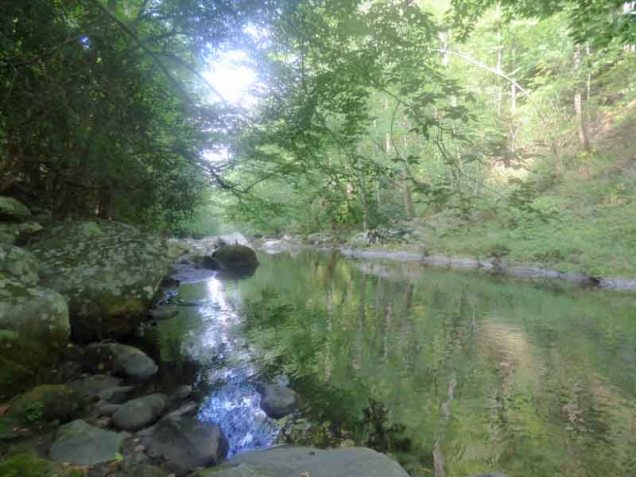 b02-swimming-hole-big-creek