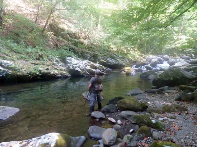 b03-fishing-in-big-creek