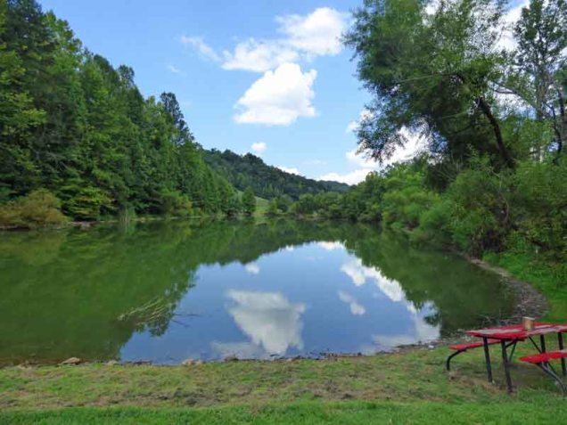 b05 Pond Behind Hungry Bear BBQ