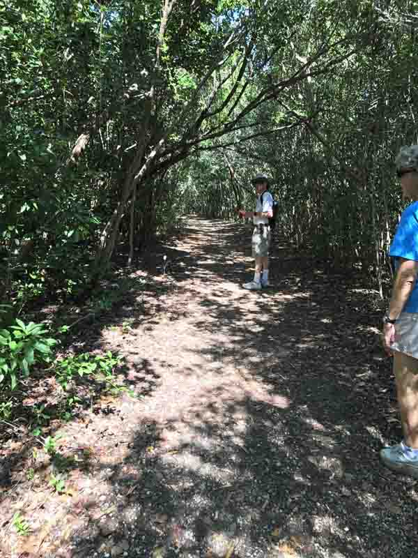 b-martin-and-dinata-on-path