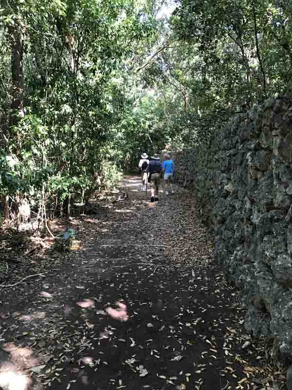 b-martin-andy-dinata-along-stone-wall